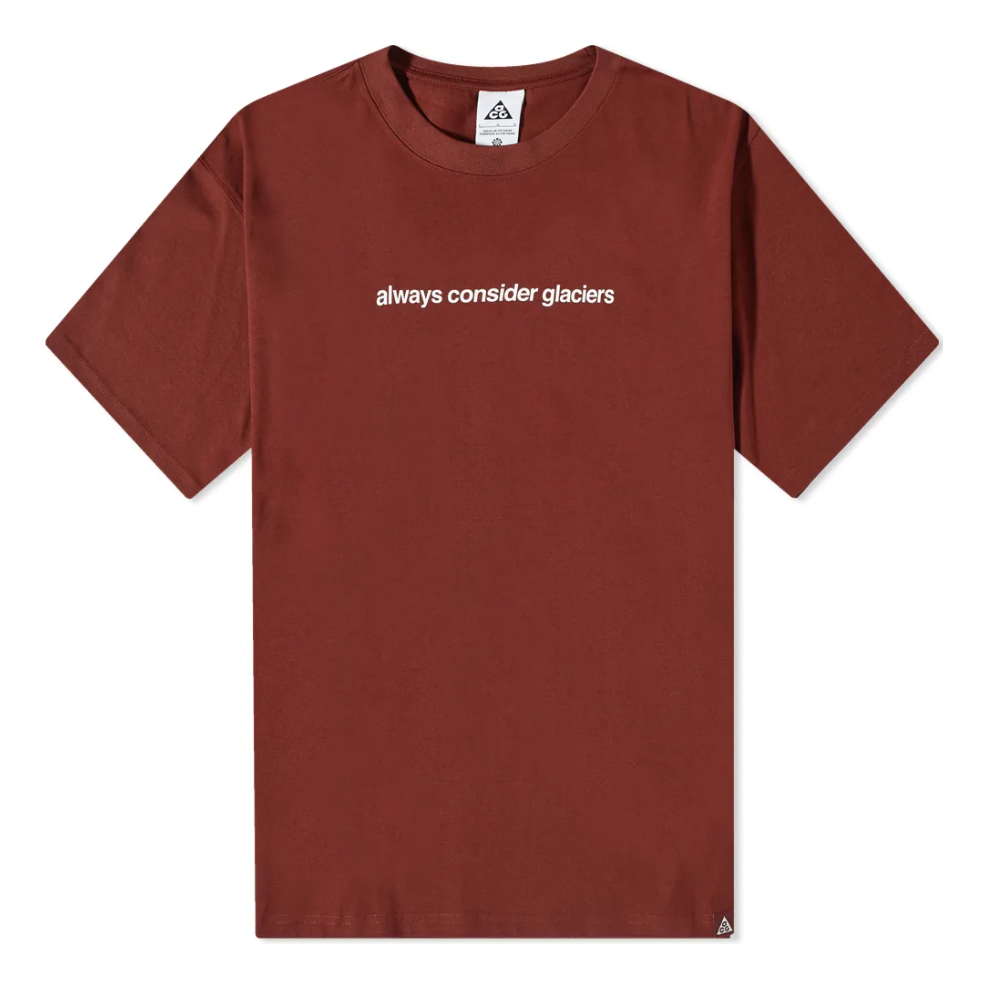 Nike x ACG NRG Glacier T-Shirt 'Oxen Brown' DV9625-217