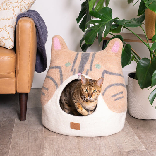 Bengal Cat Peekaboo Cat Cave