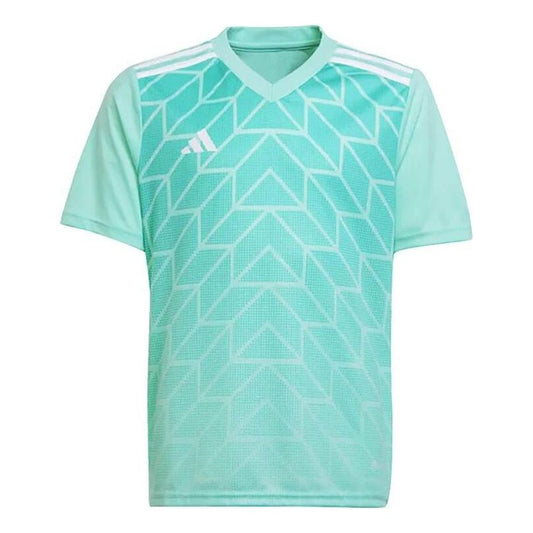 adidas Team Icon 23 Jersey Asia Sizing 'Clear Mint' IC1252