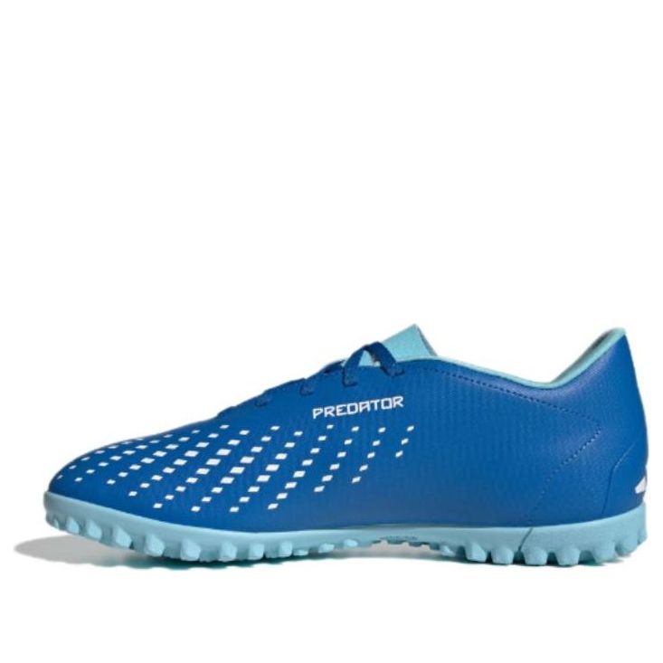 adidas Predator 'Bright Royal' GY9996